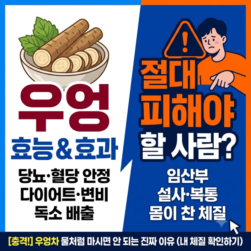 우엉 효능 부작용 총정리! 다이어트 효과 직빵이지만 '이런 사람'은 절대 먹지 마세요