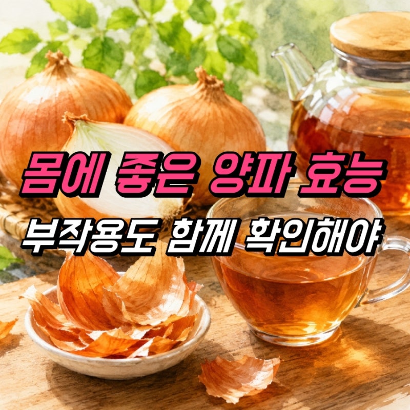 양파 효능 부작용, 양파껍질 차 끓이는법