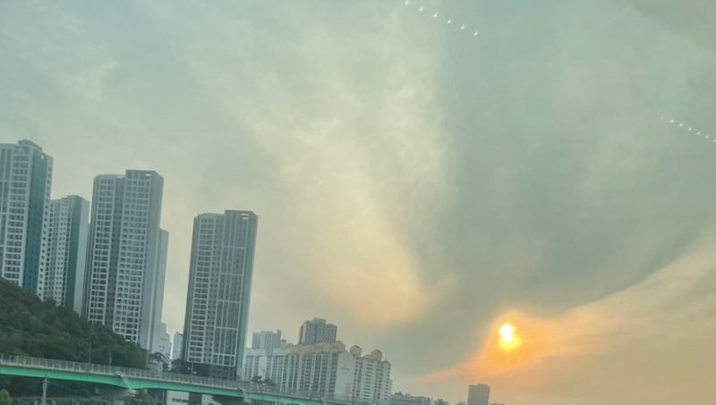 6월 (여름 소비 리스트, 위시 리스트, 직장, 회사, 출근, 일상, 일기, 순환 음료, 티백, 청혈수, ....