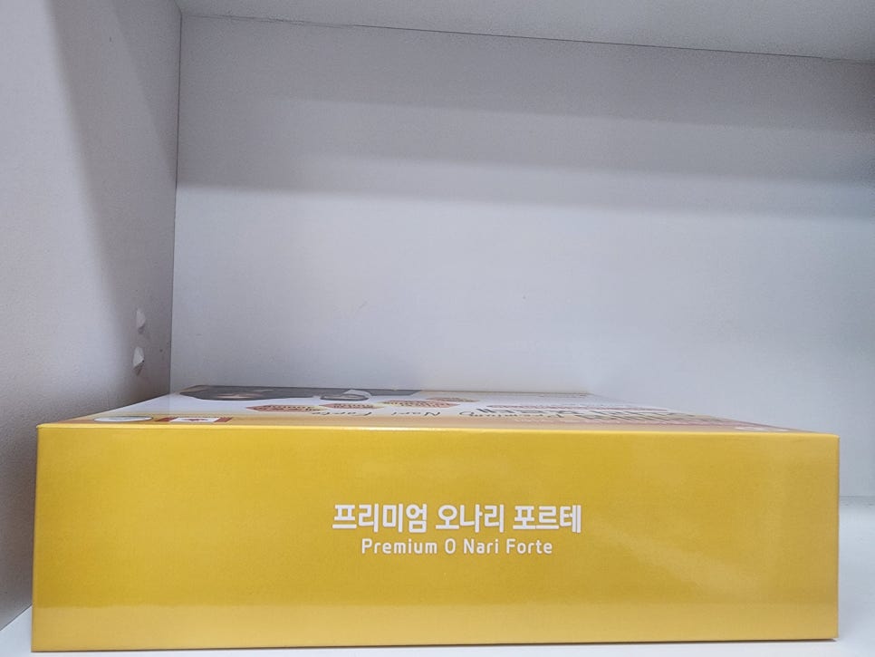 회향 사진 6