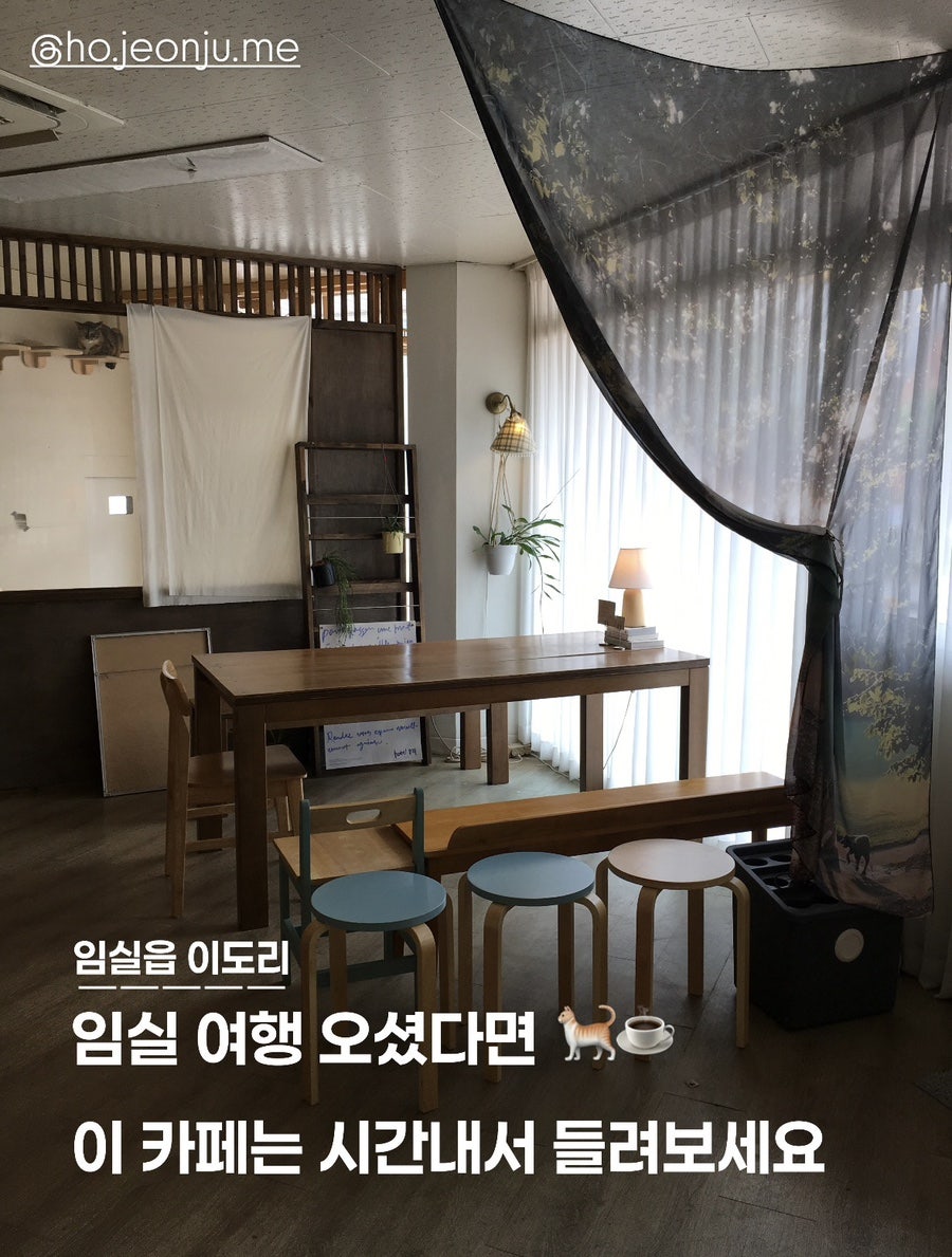 나이브캣 사진 1