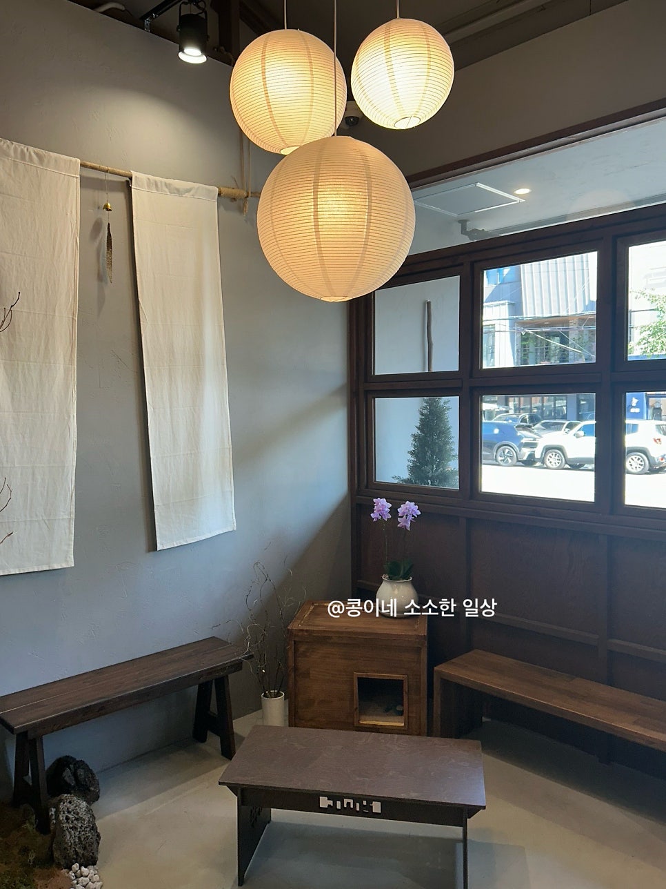 고롱 사진 5