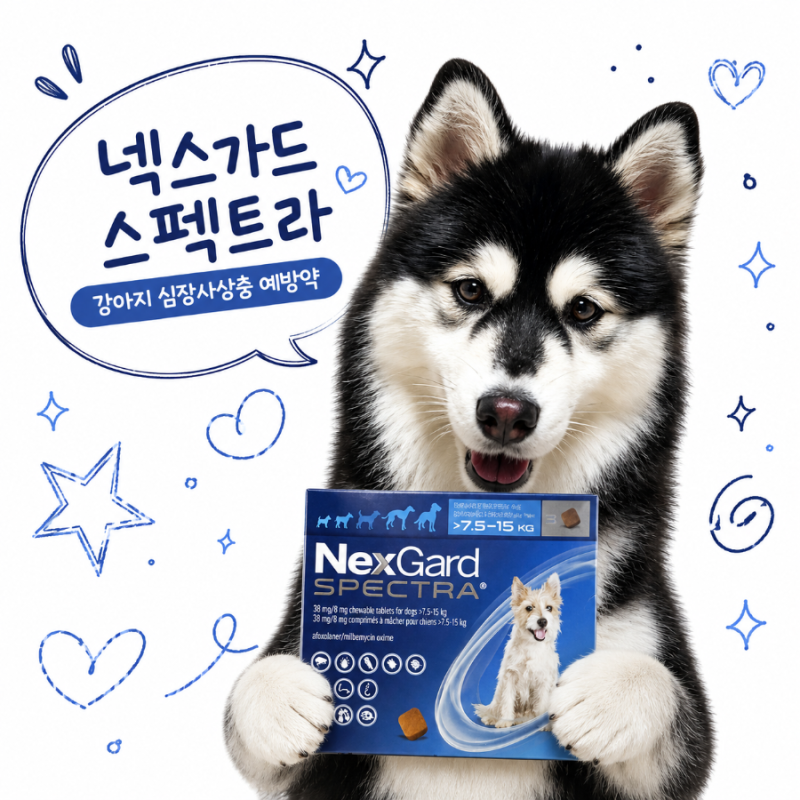 강아지 심장사상충 넥스가드 스펙트라 예방약 특징 및 효과