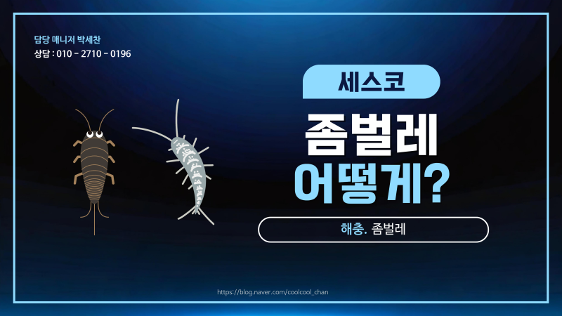 좀벌레 퇴치 전 꼭 알아야 할 사실! 옷장과 책장에서 발견되는 이유는?
