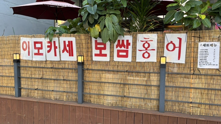 셀리하우스 사진 2