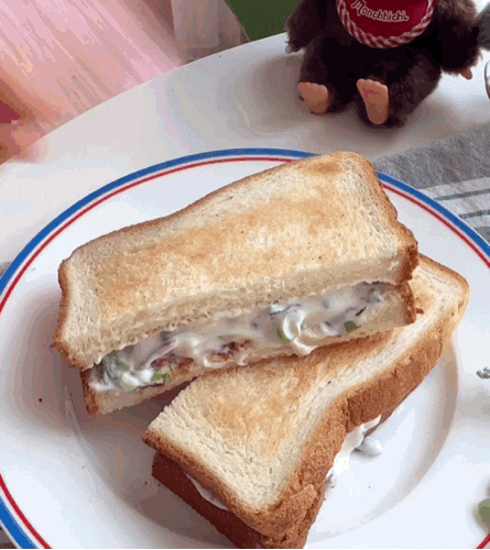 2배 맛있게 그릭요거트 먹는법 다이어트 요리 대파 베이컨 그릭요거트 샌드위치 레시피