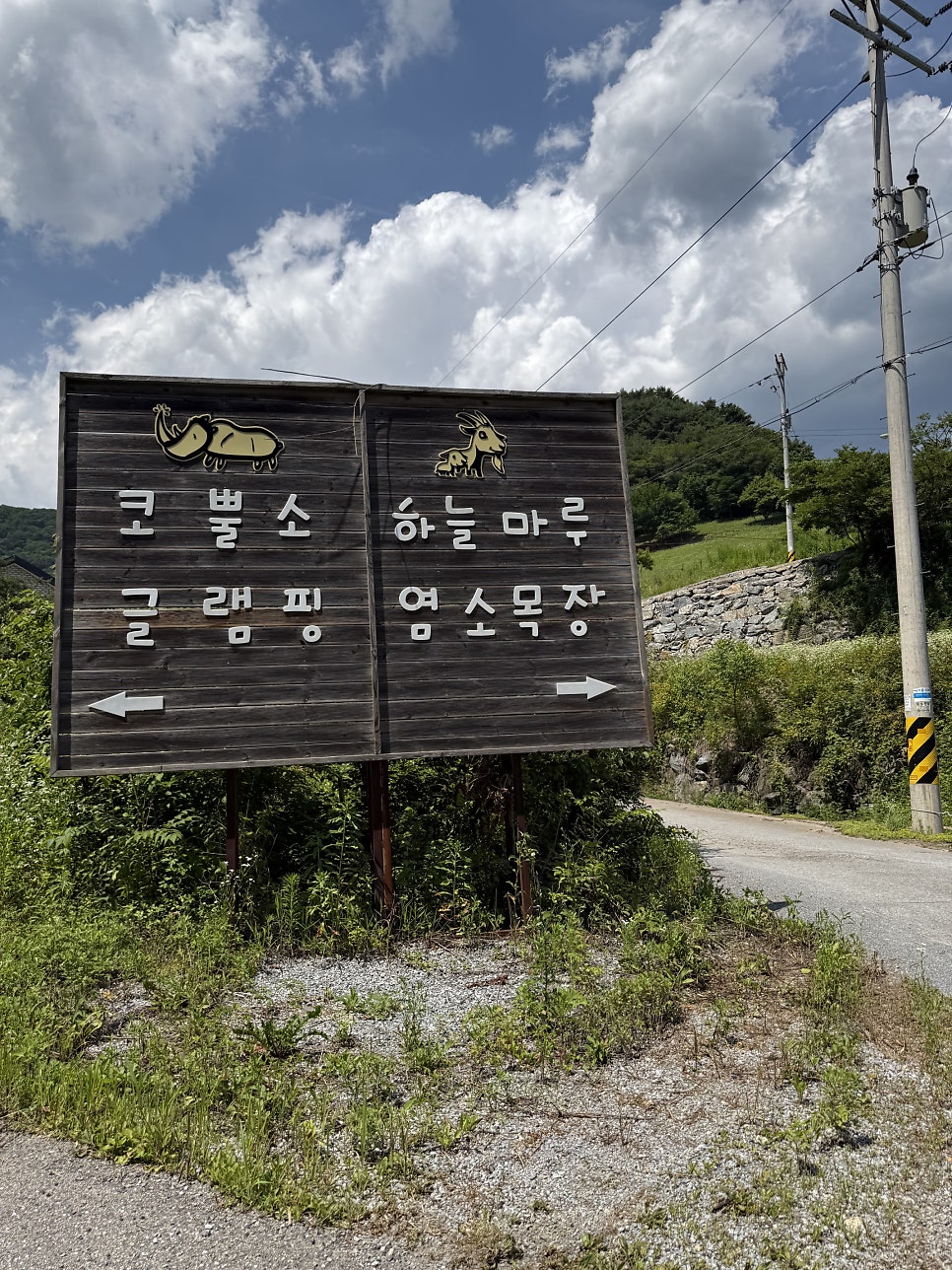 코뿔소글램핑 사진 2