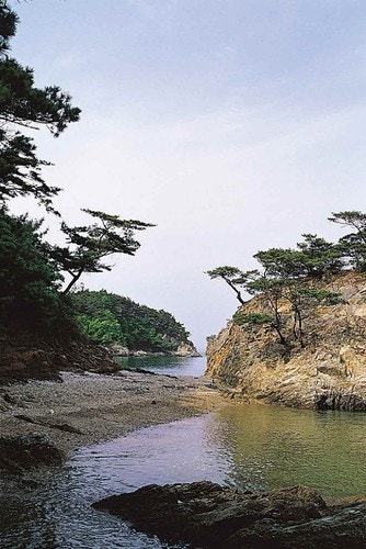 이모네 사진 1