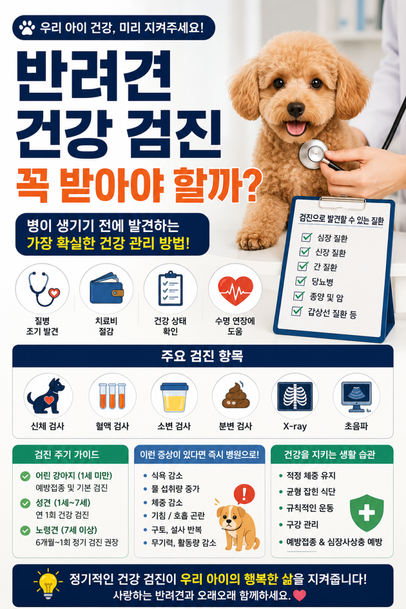 반려견 건강 검진 꼭 받아야 할까? 병이 생기기 전에 발견하는 가장 확실한 방법