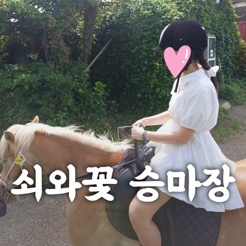 제주도 해변 승마 체험 쇠와꽃승마장 이용 요금 예약 방법