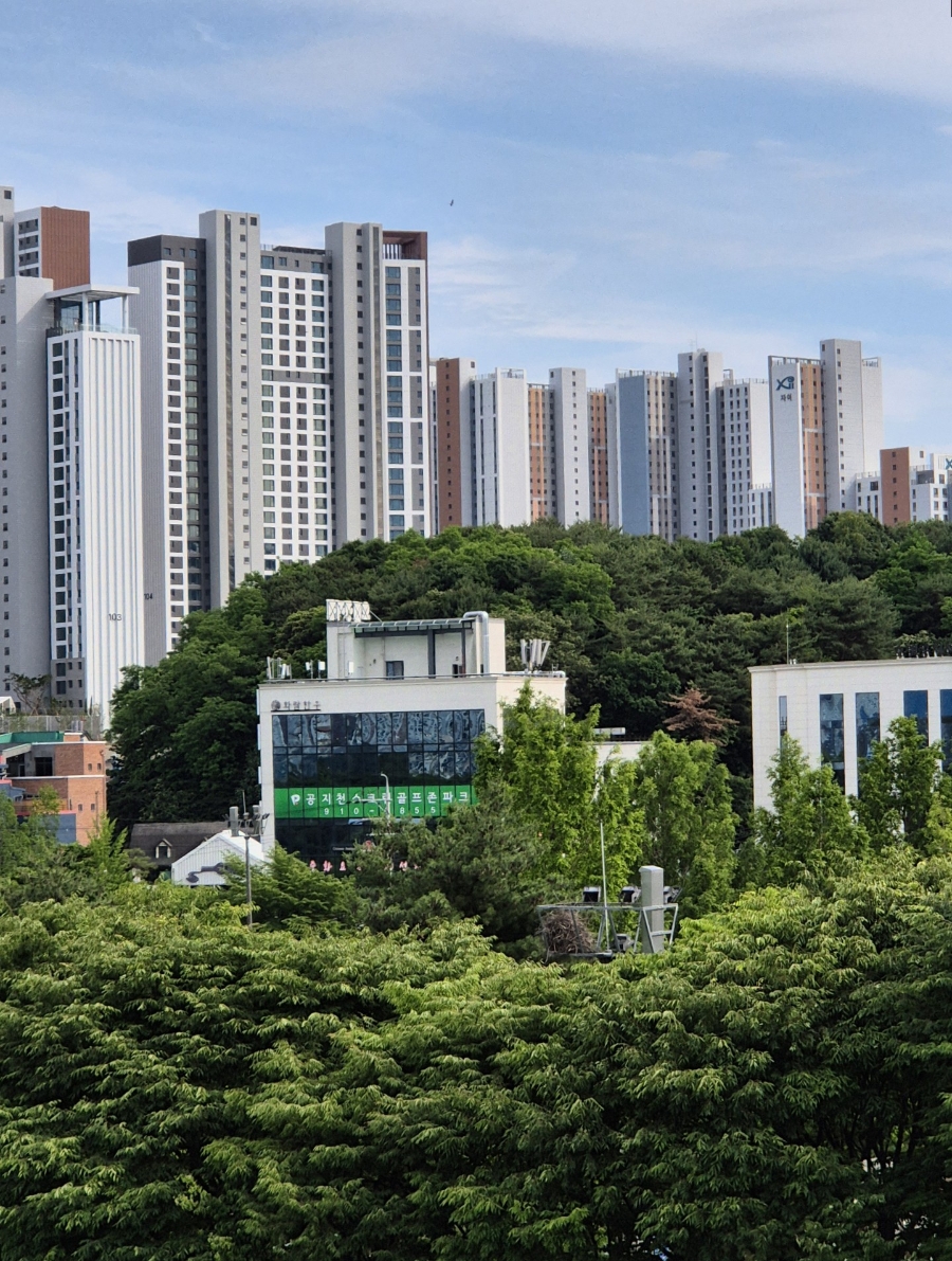 한우가 사진 3