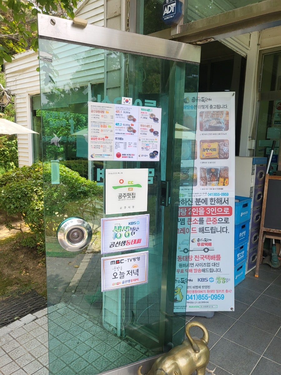 곰선생 동태씨 사진 4