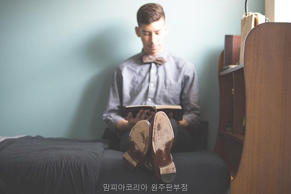 맘피아코리아 사진 4