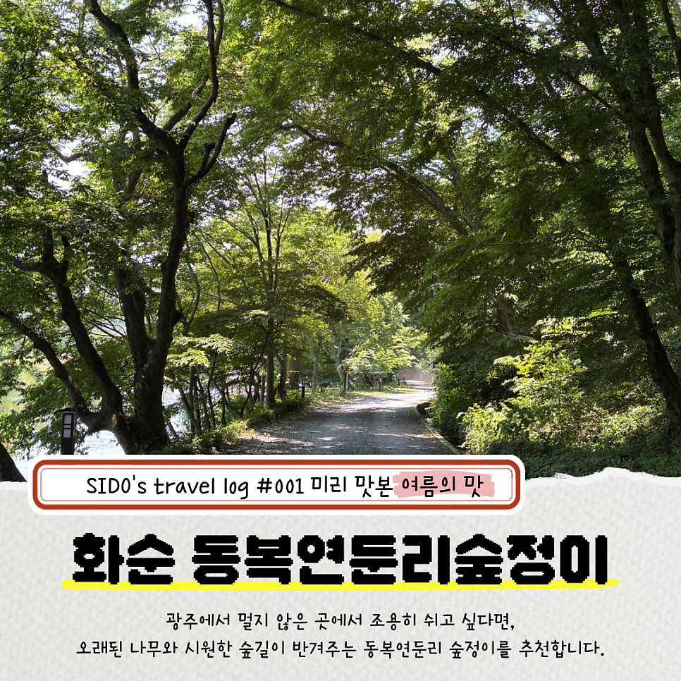 동복연둔리숲정이 사진 1