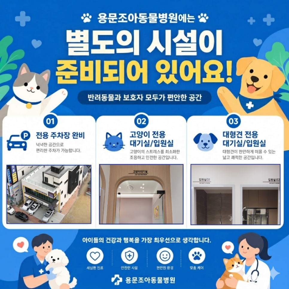 용문조아동물병원 사진 6