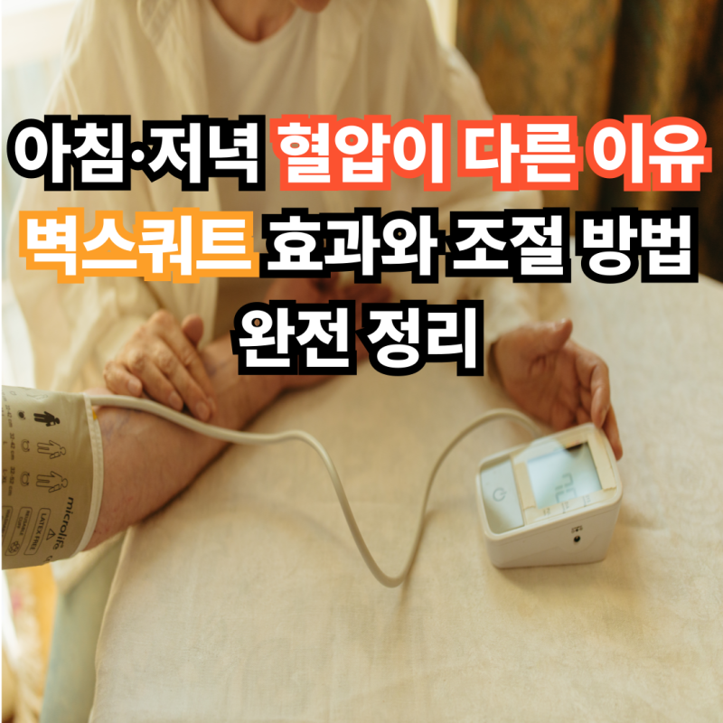 아침·저녁 혈압이 다른 이유 벽스쿼트 효과와 조절 방법 완전 정리