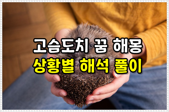 고슴도치 나오는 꿈 가시에 찔리는 꿈 해몽 고슴도치 꿈 해석 풀이