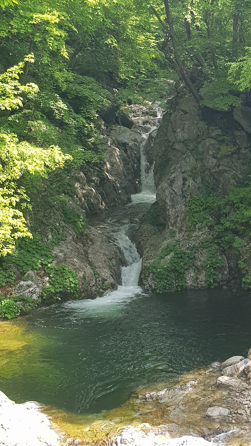 달눔자리 사진 3