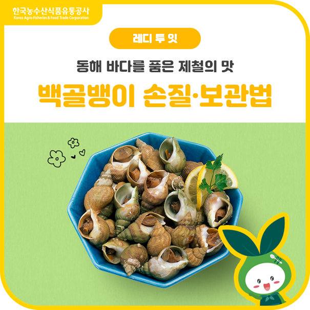 여름 바다 한 접시백골뱅이 손질·보관법