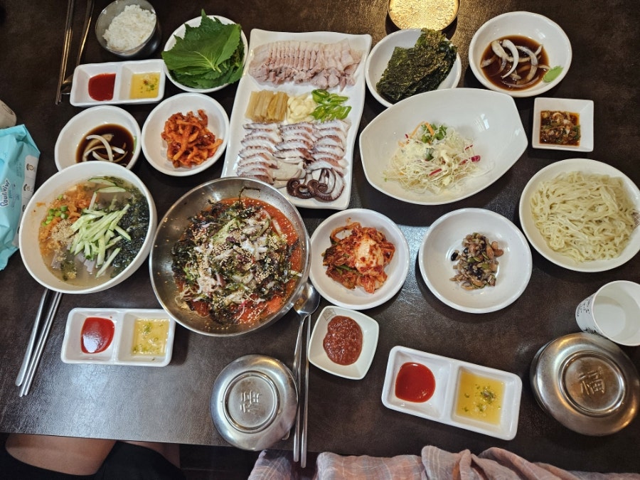 문어가 사진 6