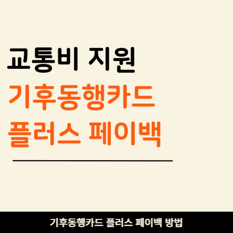 기후동행카드 플러스 출시, 최대 9만 원 페이백 방법까지 꼭 확인하세요