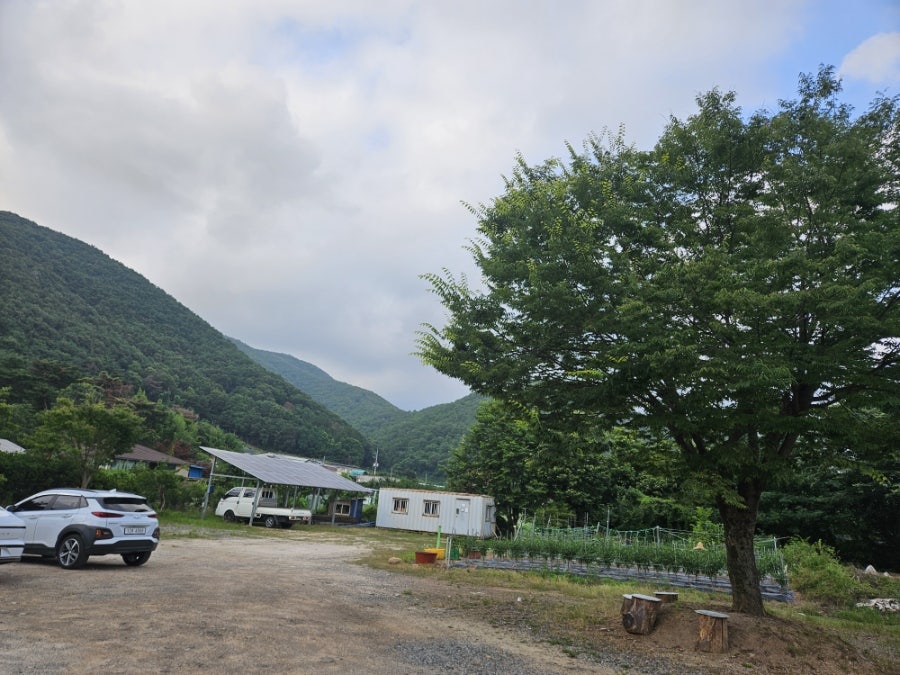 본향산야초 사진 1