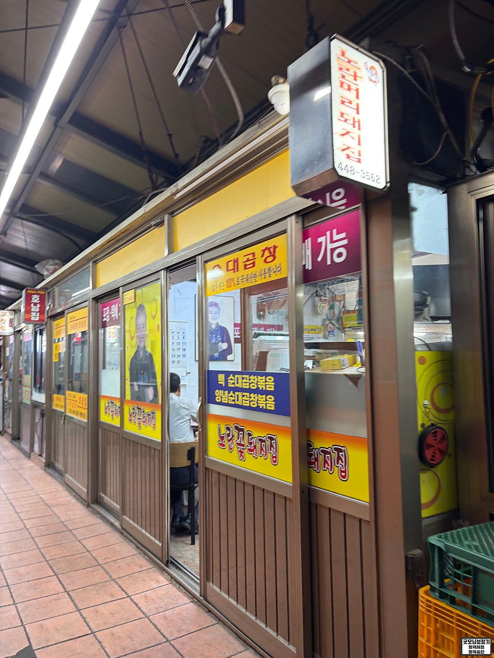 꽃돼지 사진 2