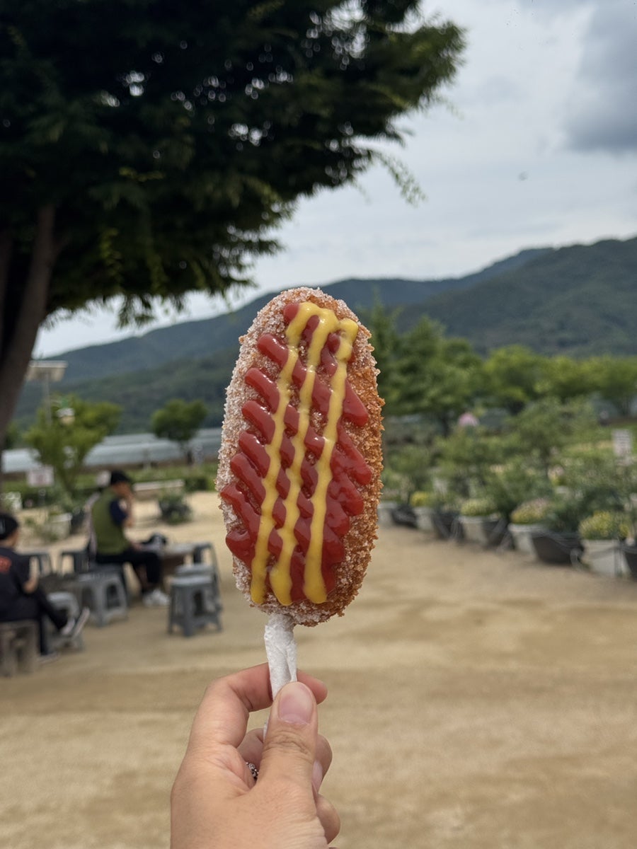 브루조아 사진 4