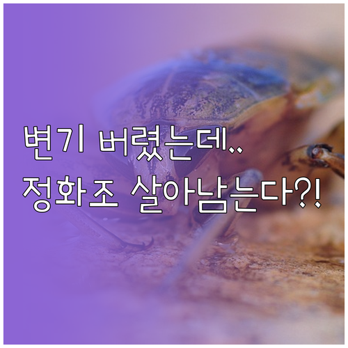 바퀴벌레 잡고 변기 버렸는데…정화조에서 살아남는다