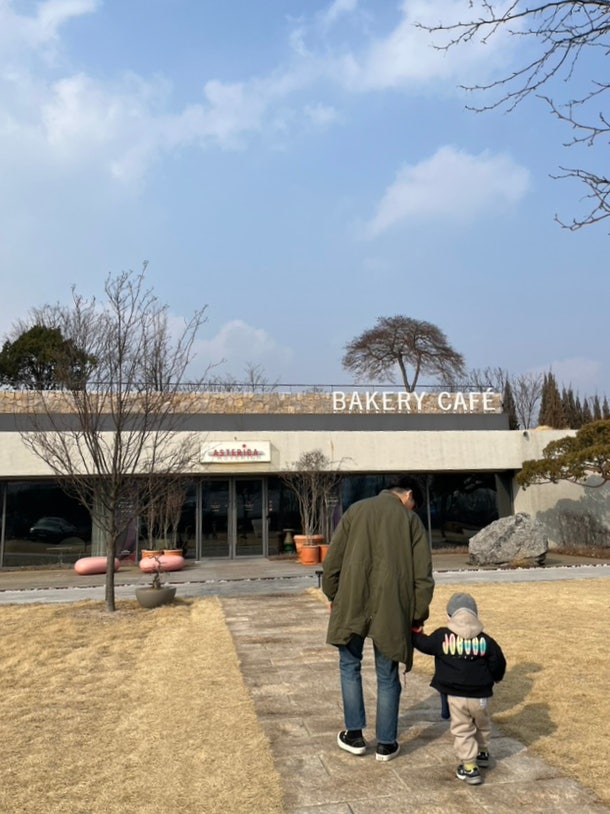 아스테리카 바이 더체어 사진 1