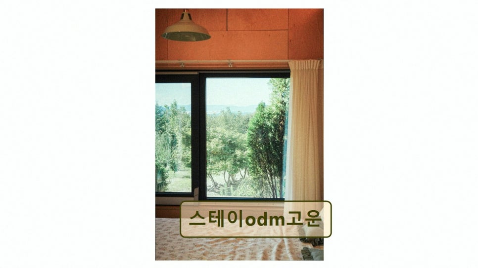 스테이ODM고운 사진 2