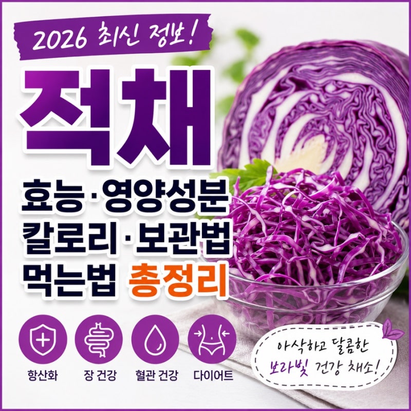 적채 효능 영양성분 칼로리 보관법 먹는법 총정리