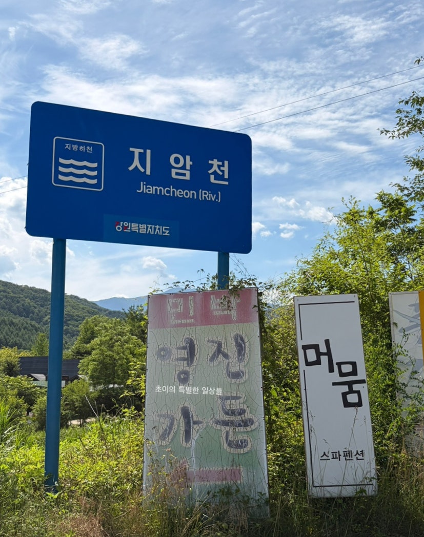 닭발어때 사진 4
