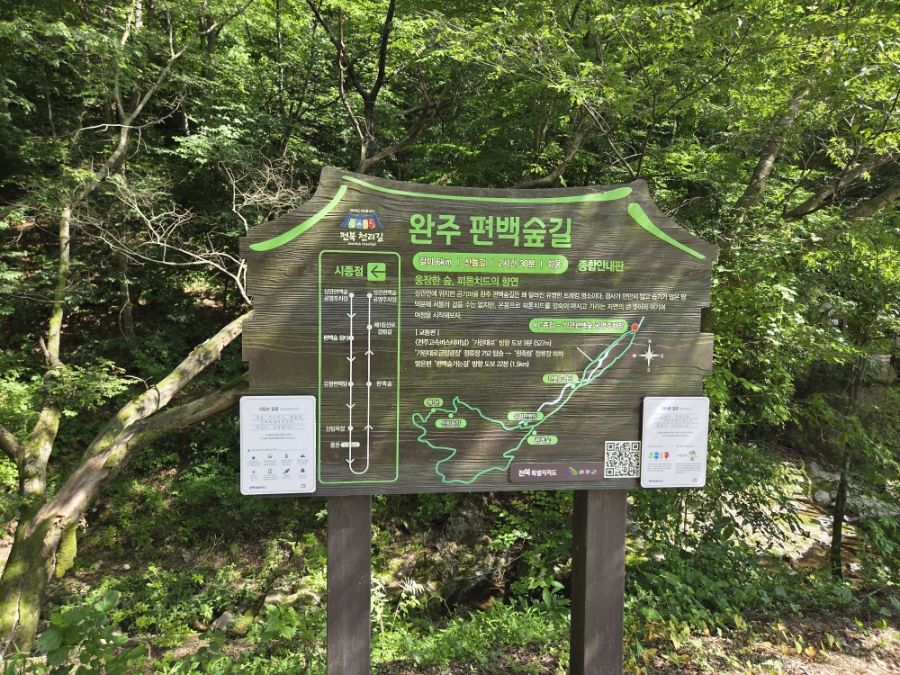 공기마을 편백나무숲 사진 4