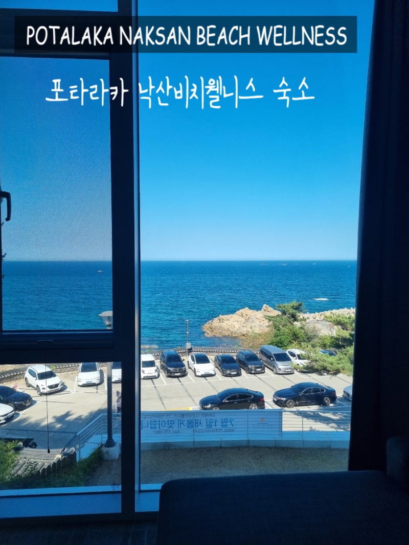 강원도 날씨 양양 속초 가족여행 낙산사 1분거리 포타라카 낙산비치웰니스 숙소후기