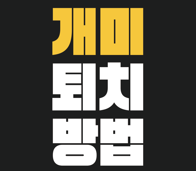 개미 퇴치방법 l 보이는 개미만 잡으면 안 됩니다!