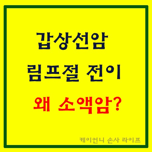 갑상선암 림프절 전이 보험금, 소액암으로 지급됐다면? 원발부위 기준 총정리(2025 대법원 판....