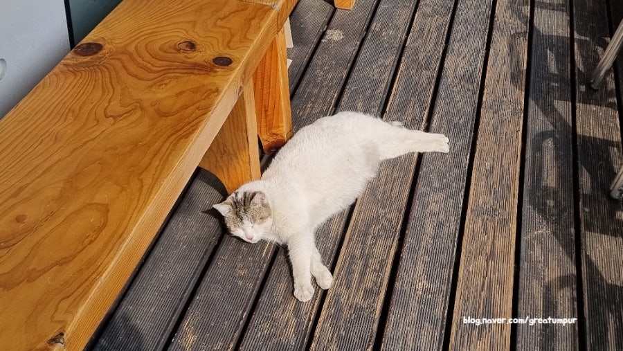 바담식탁 사진 3