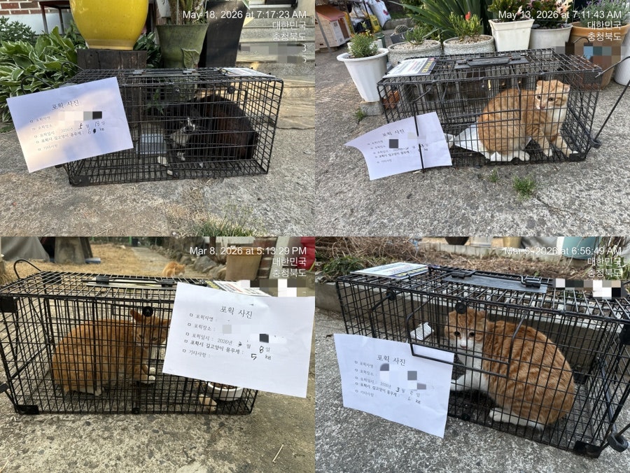 오수의과동물병원 사진 4