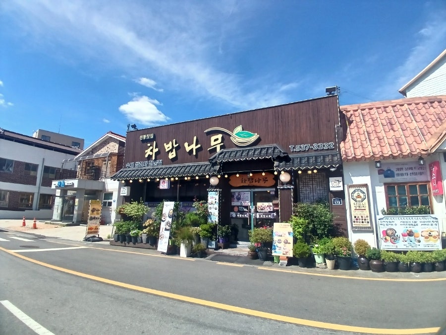 차밥나무 사진 1
