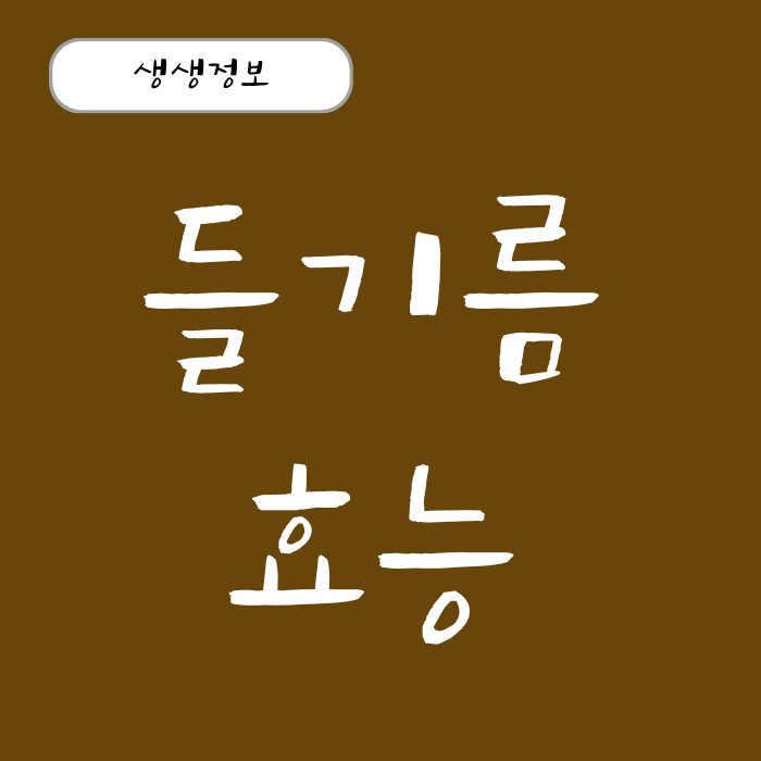 들기름 효능 생들기름VS볶은 들기름 차이, 하루 권장 섭취량