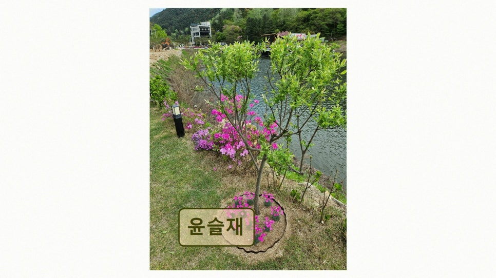 윤슬재 사진 3