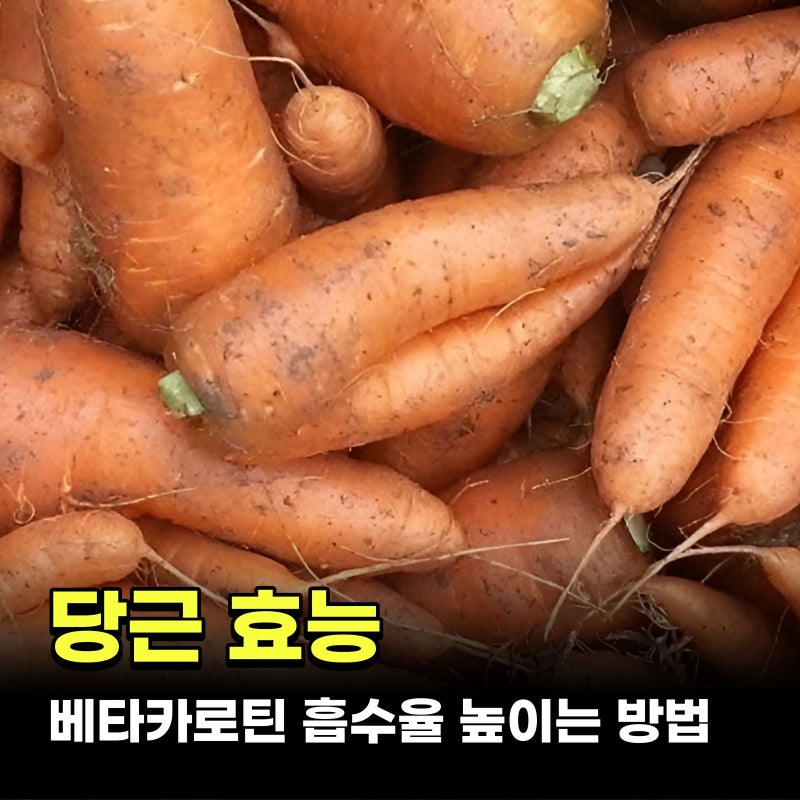 당근효능 5가지 베타카로틴 흡수율 높이는 방법