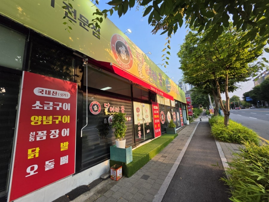 달려라꼼&아지매 사진 2