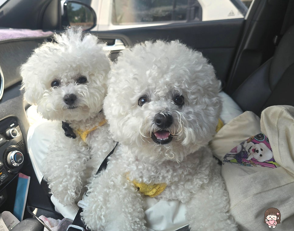 카페오 사진 1