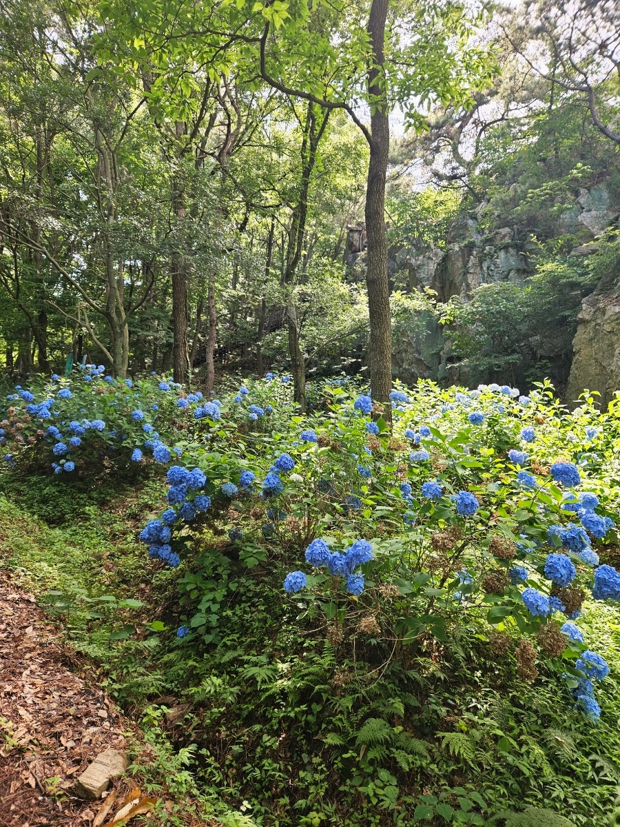 태봉산 사진 5