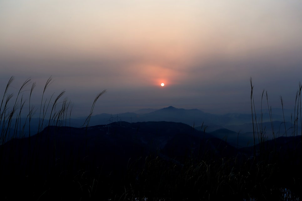 안양산 사진 6