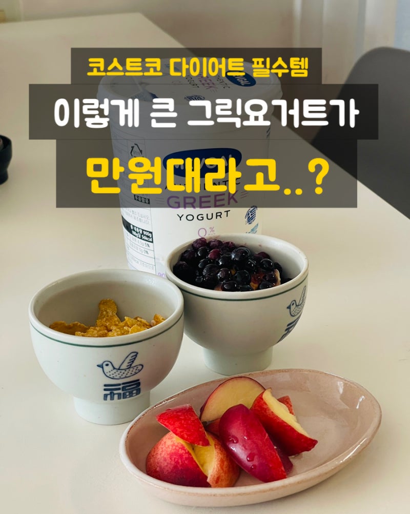 이렇게 큰 그릭요거트가 만원대..? 코스트코 다이어트 추천 그릭요거트