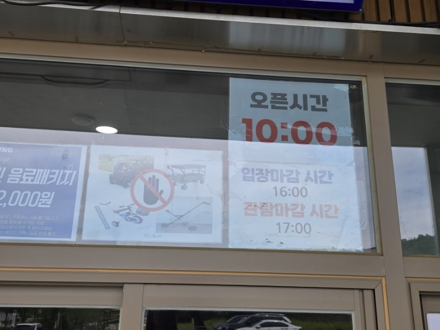 수선화카페 사진 3