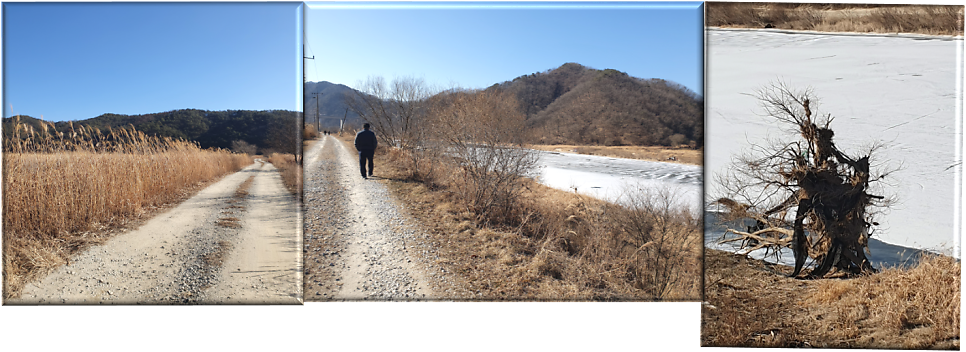 두꺼비캠핑장 사진 3